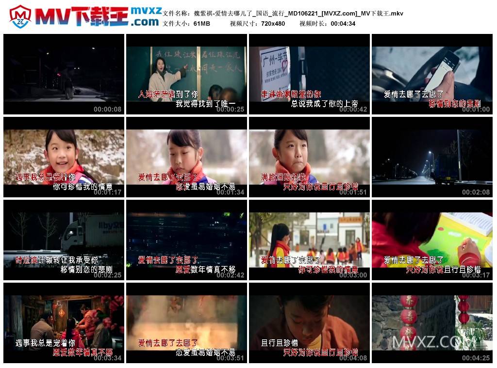 魏紫祺-爱情去哪儿了_国语_流行_MD106221
